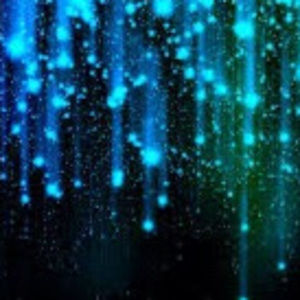 Meet your Posher, Eva